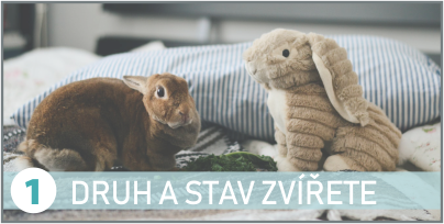 druh zvířete